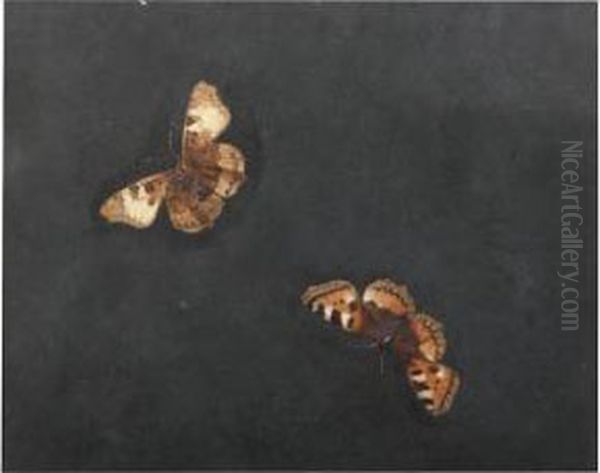 Two Gouaches Of Pairs Of Moths Oil Painting by Herman Henstenburgh