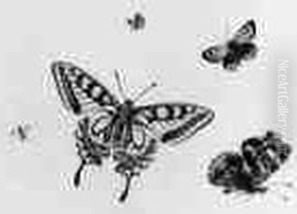 Studies Of Four Butterflies And An Insect Oil Painting by Herman Henstenburgh