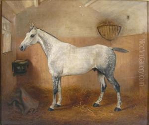 Portrait Of A White Horse In Stable Oil Painting by Wilson Hepple