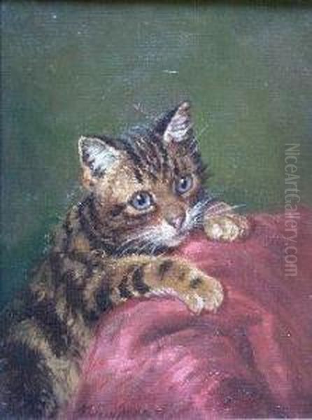 Study Of A Kitten Oil Painting by Wilson Hepple