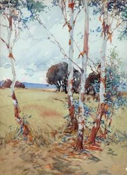 Saplings Oil Painting by Harold Brocklebank Herbert