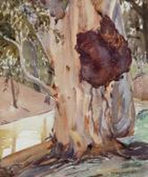 The Old River Gum Oil Painting by Harold Brocklebank Herbert