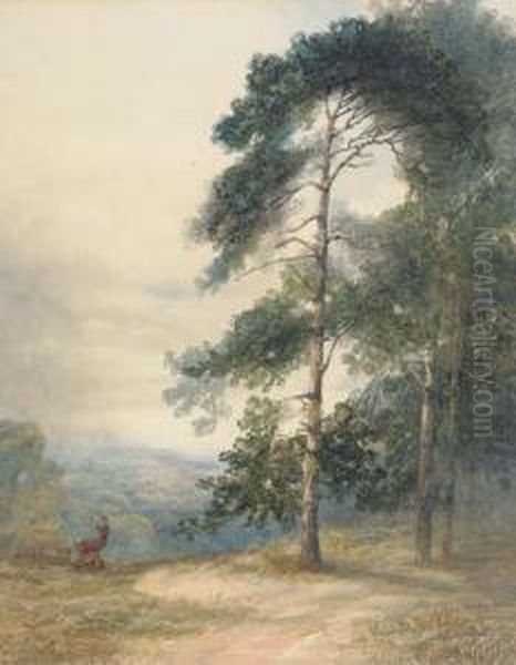 A Stag And His Herd Scenting A Disturbance Oil Painting by Sydney Herbert