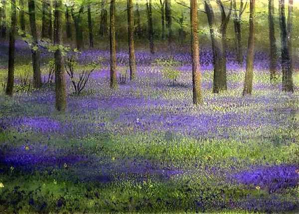 Bluebell Wood Oil Painting by Edward Clifford