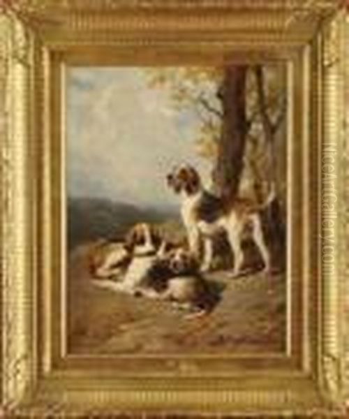 Chien De Chasse Au Repos Oil Painting by Leon-Charles Hermann