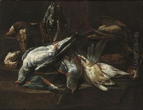 A Dead Kingfisher, Woodcocks And Other Game, On A Draped Table Oil Painting by Johannes Hermans