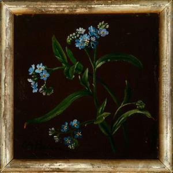 A Study Forget-me-not Oil Painting by Olaf August Hermansen