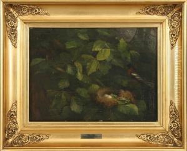 Attributed To: Robin By The Nest. Unsigned Oil Painting by Olaf August Hermansen