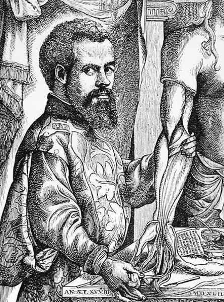 Portrait of Andreas Vesalius (1514-64) from his book 'De Humani Corporis Fabrica', 1543, illustration from 'Science and Literature in the Middle Ages and the Renaissance', 1878 Oil Painting by Jan Steven van Calcar