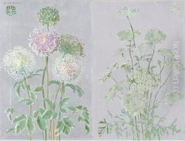 Allium And Queen Anne's Lace: A Pair Of Paintings Oil Painting by Adele Herter