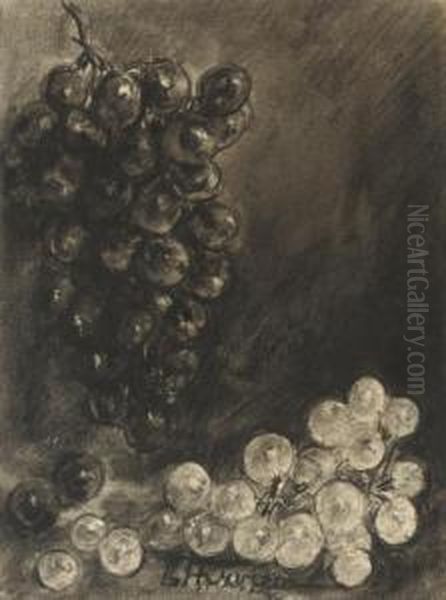 Study Of Grapes Oil Painting by Louise Hervieu