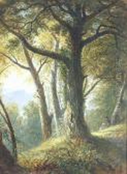 Leigh Woods, Bristol - Looking Across The Gorge Oil Painting by Henry Hewitt