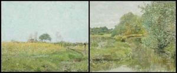 Zomerlandschap- Landschap Met Beek Oil Painting by Adriaan Jozef Heymans