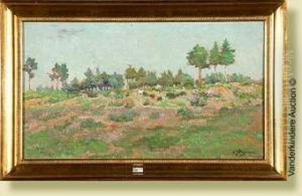 Paysage De Campine Oil Painting by Adriaan Jozef Heymans