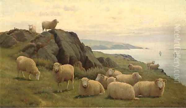 Sheep on a sunlit coast Oil Painting by William Sidney Cooper