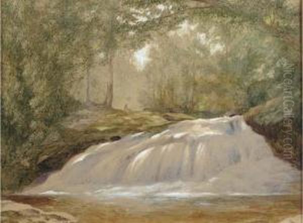 Upper Cascades Of Shelving Rock Oil Painting by John Henry Hill