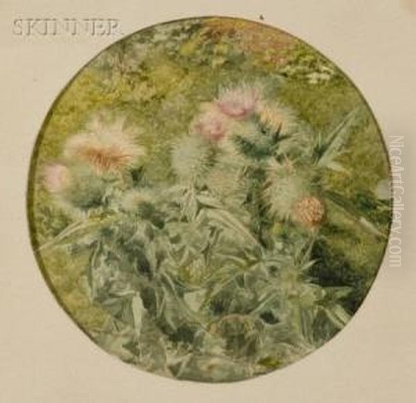 Thistle A Plein Air Oil Painting by John William Hill