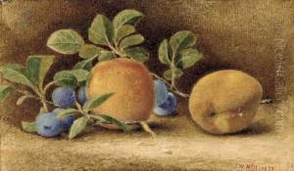 Still Life With Peaches And Plums Oil Painting by John William Hill