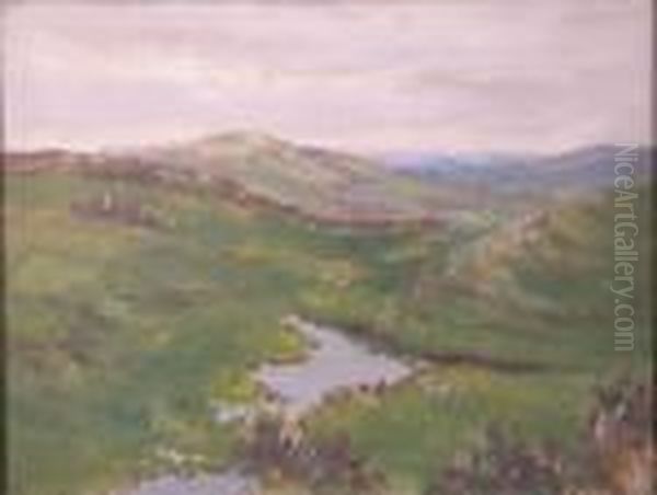 A Stream In A Moorland Landscape Oil Painting by Rowland Henry Hill