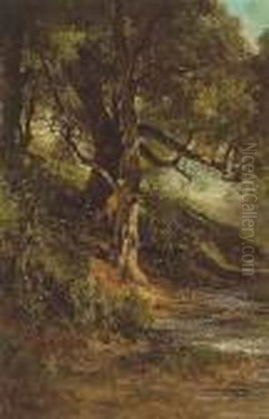 Sun-dappled Tree Beside A Quiet Brook Oil Painting by Thomas Hill