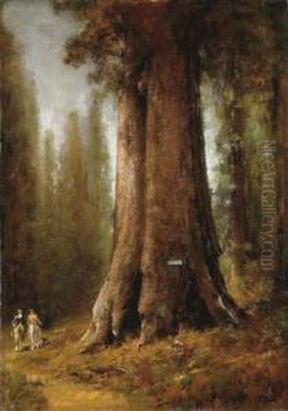 California Redwood Trees Oil Painting by Thomas Hill