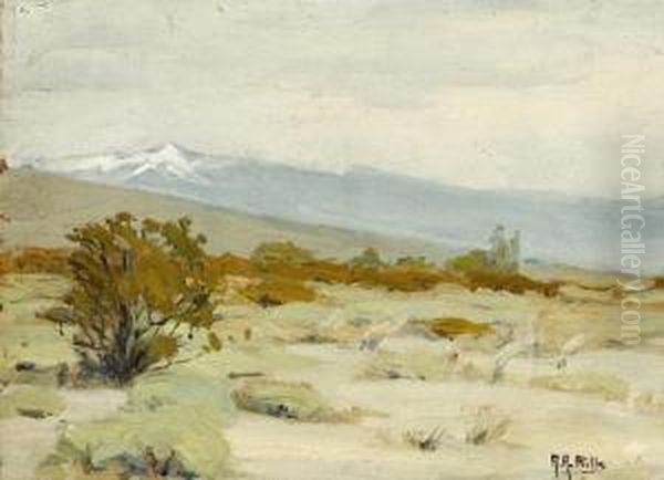 Desert Landscape With A Snow-capped Mountain Oil Painting by Anna Althea Hills