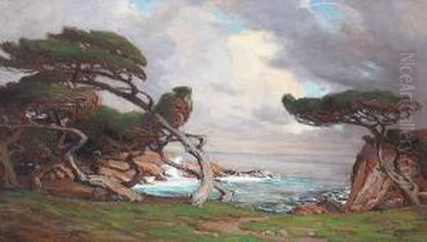 Windblown Cypress, Monterey Oil Painting by Anna Althea Hills