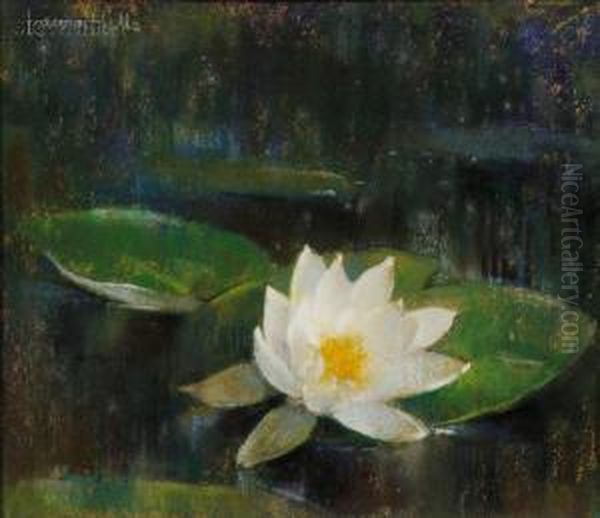 Waterlily by Laura Coombs Hills