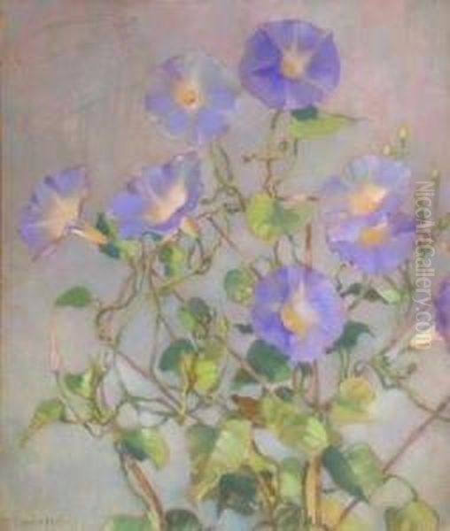 Morning Glory Oil Painting by Laura Coombs Hills