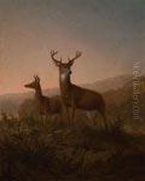 Deer On A Mountainside Oil Painting by Thomas Hewes Hinckley