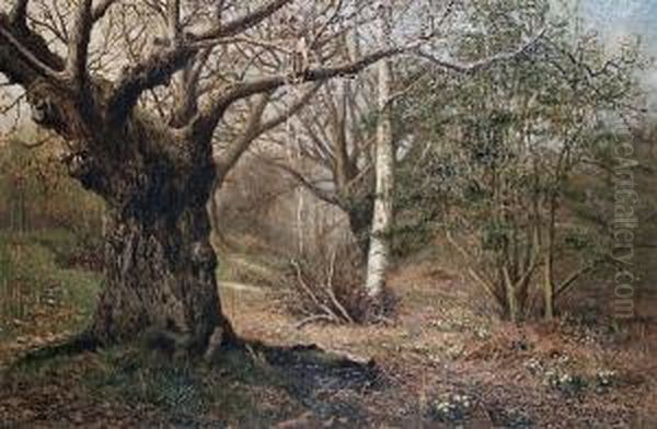 In The Woods At Hayes, Kent Oil Painting by Fred Hines