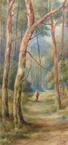 Act.-1928- Figure On A Wooded Path; Watercolour, Signed, 44x27cm Oil Painting by Fred Hines