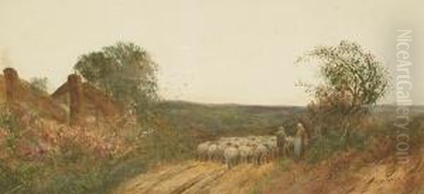 Sheep On A Country Lane Oil Painting by Fred Hines