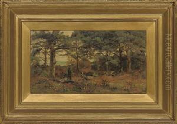 In A Fir Wood, Studland, Dorset Oil Painting by Theodore Hines