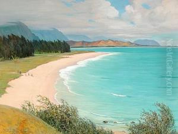 Waimanalo Beach On Windward Oahu Oil Painting by David Howard Hitchcock