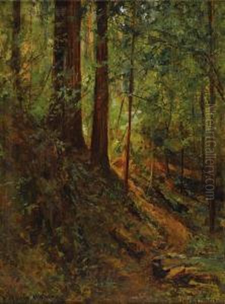 Forest Scene Oil Painting by David Howard Hitchcock