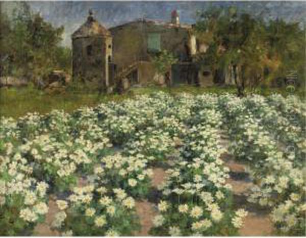 Field Of Flowers Oil Painting by George Hitchcock