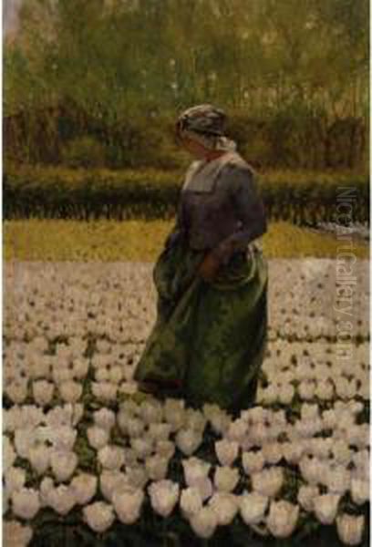 Dutch Girl In Field Of Tulips Oil Painting by George Hitchcock