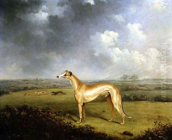 Reverend Henry Bate Dudley's Greyhound 'The Miller', 1799 Oil Painting by Henry Bernard Chalon