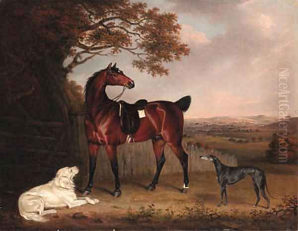 A Favorite Hunter of Robert Bower of Welham Oil Painting by Henry Bernard Chalon