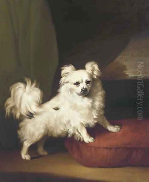 A White Papillon standing on a cushion Oil Painting by Henry Bernard Chalon