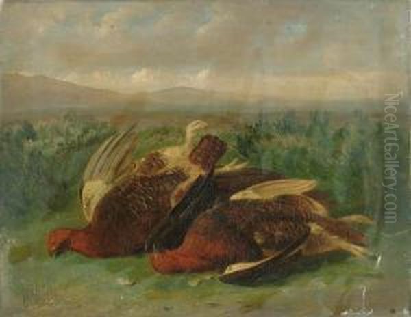 A Brace Of Grouse On A Moor Oil Painting by Stephen E. Hogley