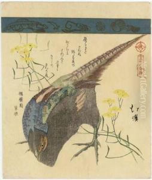 Pheasant With Yellow Flowers, 
From The Series Sanjurokkin Tsuzuki(collection Of Thirty-six Birds And 
Animals) Oil Painting by Toyota Hokkei