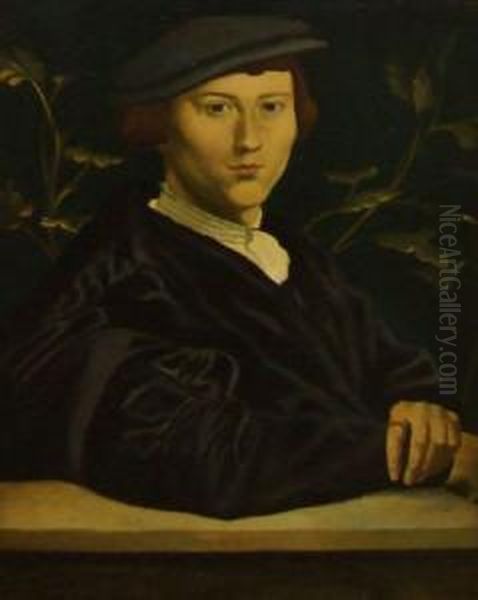 Portrait Of A Young Scholar Oil Painting by Hans Holbein the Younger