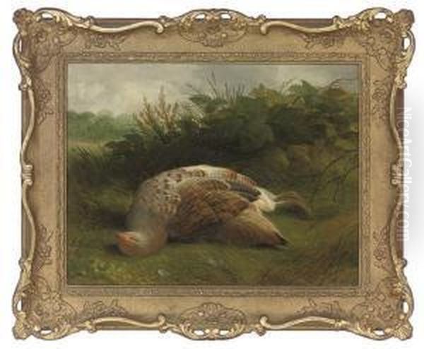 A Dead Partridge Oil Painting by Abel Hold