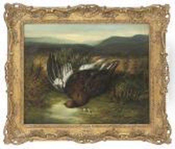 A Shot Grouse Oil Painting by Abel Hold