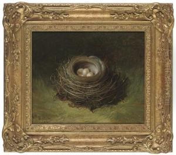 A Nest Of Eggs Oil Painting by Abel Hold