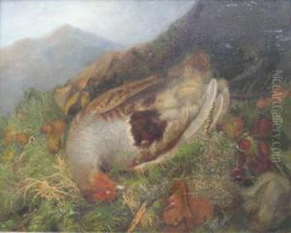 A Shot Partridge Oil Painting by Abel Hold