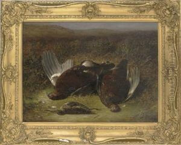 Two Grouse And A Jack Snipe Oil Painting by Abel Hold