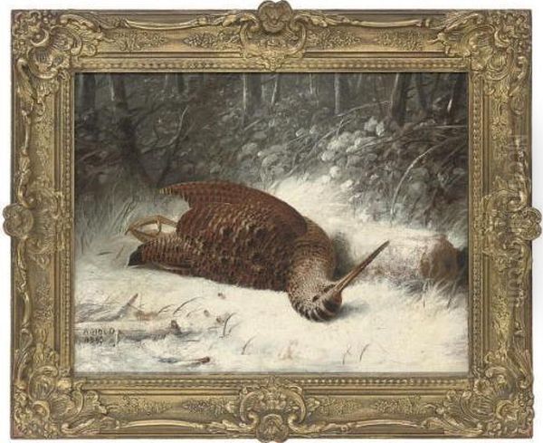 A Woodcock In The Snow Oil Painting by Abel Hold